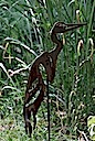 Heron of Heron Cove